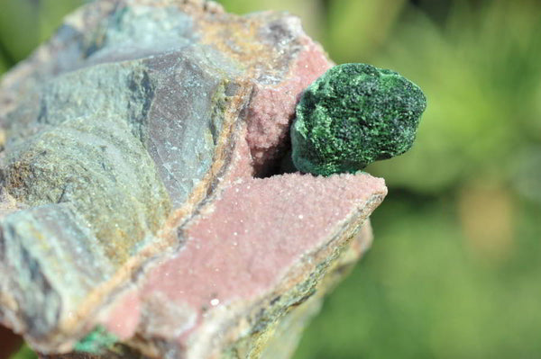Natural Drusy Salrose Cobaltion Dolomite Specimens x 12 From Kakanda, Congo - TopRock
