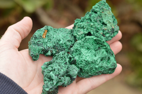 Natural Small Chatoyant Silky Malachite Specimens x 24 From Kasompe, Congo - TopRock