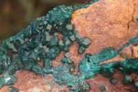 Natural Extra Large Emerald Dioptase Crystal Specimen x 1 From Likasi, Congo - Toprock Gemstones and Minerals 