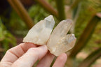 Natural Small Quartz Clusters  x 35 From Madagascar - TopRock