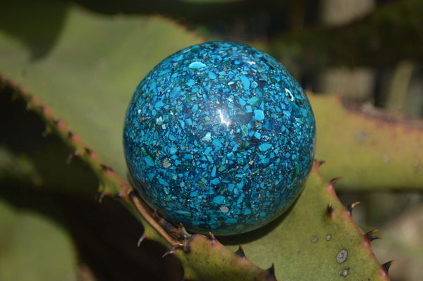 Polished Conglomerate Chrysocolla Spheres  x 2 From Congo - Toprock Gemstones and Minerals 