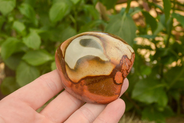 Polished Polychrome / Picasso Jasper Free Forms  x 6 From Madagascar - TopRock