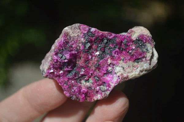 Natural Pink Salrose Cobaltion Dolomite Specimens  x 12 From Kakanda, Congo - Toprock Gemstones and Minerals 