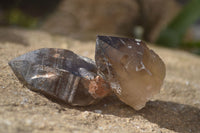 Natural Smokey Quartz Crystals x 12 From Malawi - Toprock Gemstones and Minerals 