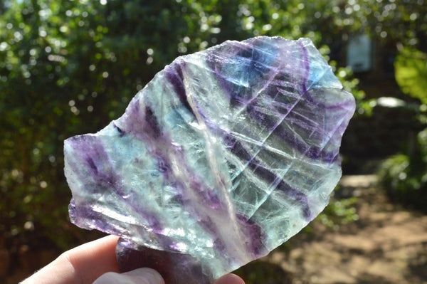 Polished Watermelon Fluorite Slices (One Large) x 3 From Uis, Namibia - TopRock