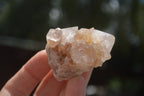 Natural Spirit Quartz Clusters  x 18 From Boekenhouthoek, South Africa - TopRock