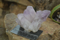 Natural Jacaranda Amethyst Clusters  x 4 From Zambia - Toprock Gemstones and Minerals 