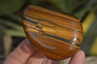 Polished Golden Tigers Eye Free Forms x 6 From Prieska, South Africa