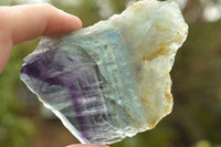 Polished Semi Translucent Watermelon Fluorite Slices x 12 From Uis, Namibia - TopRock