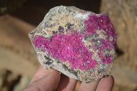 Natural Pink Salrose Cobaltion Dolomite Specimens  x 6 From Kakanda, Congo - Toprock Gemstones and Minerals 