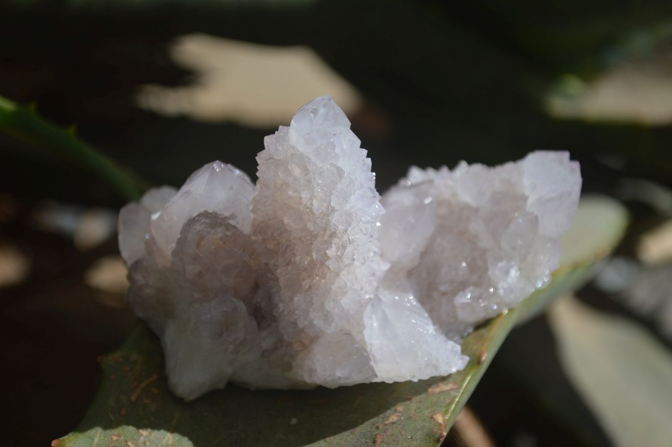 Natural Pale Lilac Spirit Quartz Clusters x 12 From Boekenhouthoek, South Africa - Toprock Gemstones and Minerals 