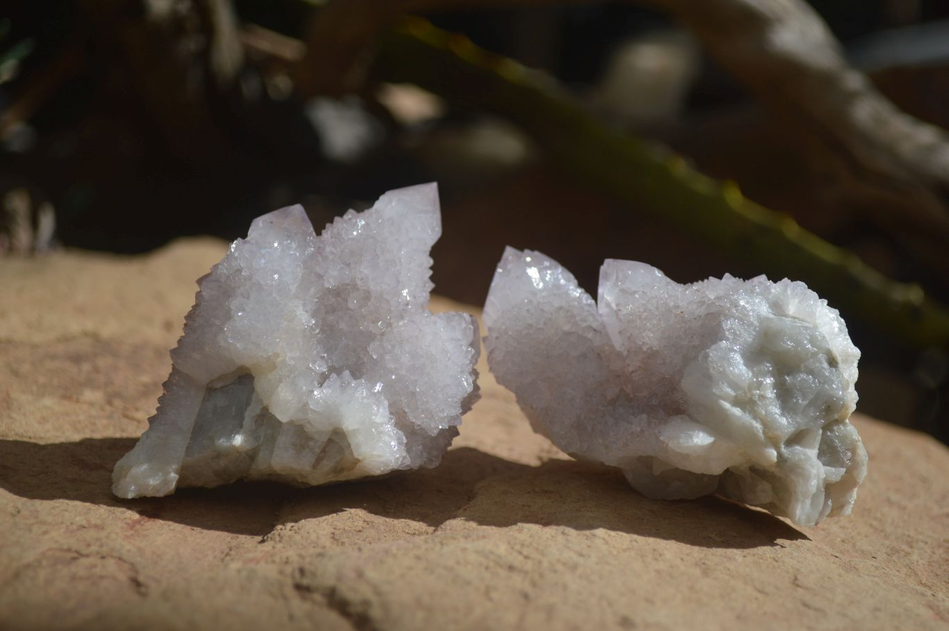Natural Pale Lilac Spirit Quartz Clusters x 12 From Boekenhouthoek, South Africa - Toprock Gemstones and Minerals 