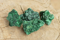 Natural Small Chatoyant Silky Malachite Specimens x 24 From Kasompe, Congo - TopRock