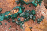 Natural Extra Large Emerald Dioptase Crystal Specimen x 1 From Likasi, Congo - Toprock Gemstones and Minerals 