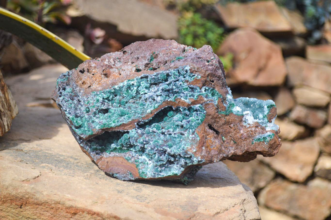 Natural Drusy Coated Ball Malachite On Dolomite Specimen x 1 From Likasi, Congo - Toprock Gemstones and Minerals 