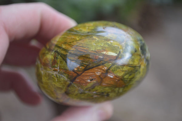 Polished Green Opal Free Forms  x 6 From Antsirabe, Madagascar