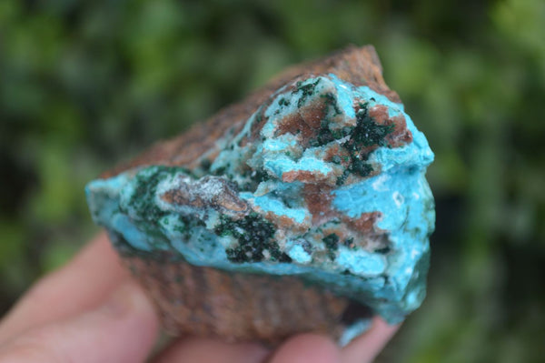 Natural Drusi Quartz Coated Malachite & Chrysocolla Specimens  x 5 From Likasi, Congo - Toprock Gemstones and Minerals 