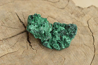 Natural Small Chatoyant Silky Malachite Specimens x 24 From Kasompe, Congo - TopRock