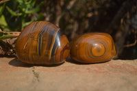 Polished Golden Tigers Eye Free Forms x 6 From Prieska, South Africa