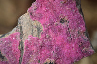Natural Pink Salrose Cobaltion Dolomite Specimens  x 6 From Kakanda, Congo - Toprock Gemstones and Minerals 