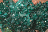 Natural Extra Large Emerald Dioptase Crystal Specimen x 1 From Likasi, Congo - Toprock Gemstones and Minerals 