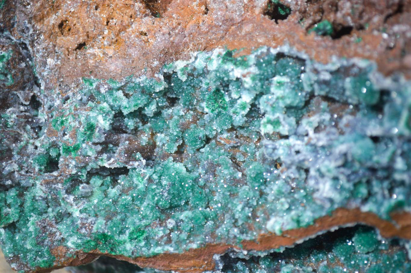 Natural Drusy Coated Ball Malachite On Dolomite Specimen x 1 From Likasi, Congo - Toprock Gemstones and Minerals 