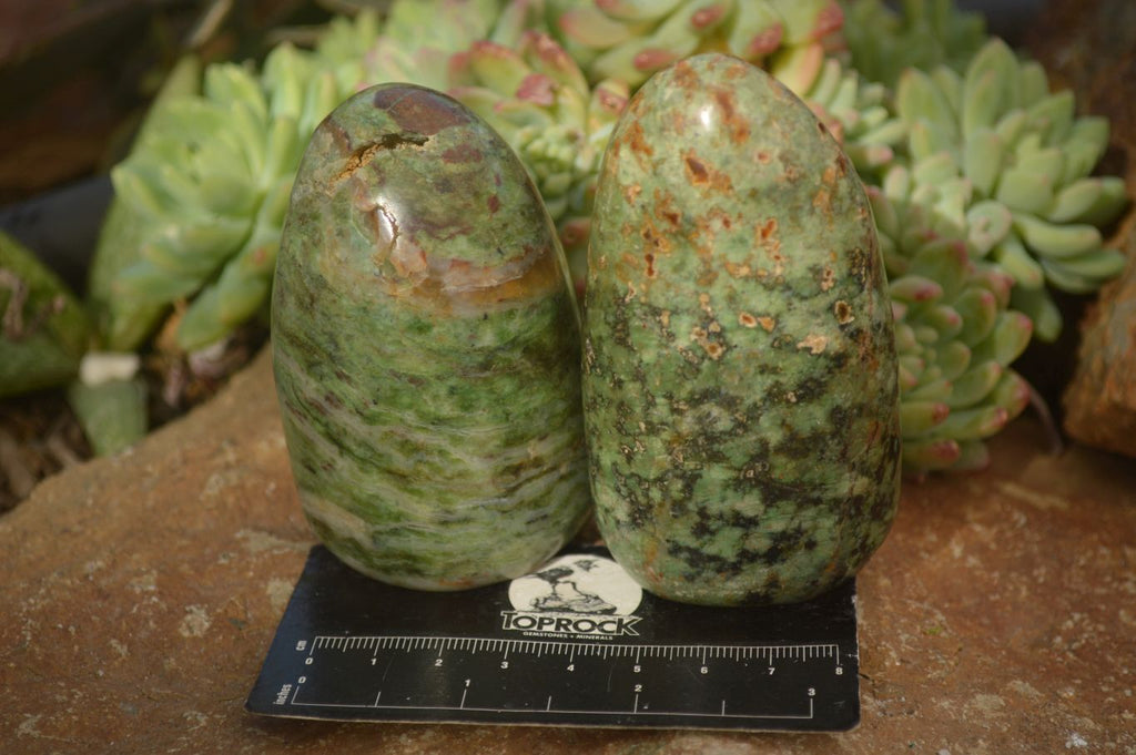 Polished  Green Chrysoprase Standing Free Forms  x 6 From Ambatondrazaka, Madagascar - Toprock Gemstones and Minerals 