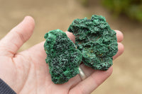Natural Small Chatoyant Silky Malachite Specimens x 24 From Kasompe, Congo - TopRock