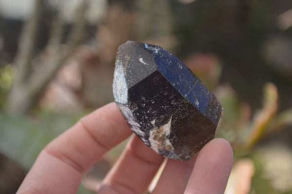 Natural Smokey Quartz Crystals x 12 From Malawi - Toprock Gemstones and Minerals 