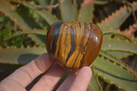 Polished Golden Tigers Eye Free Forms x 6 From Prieska, South Africa