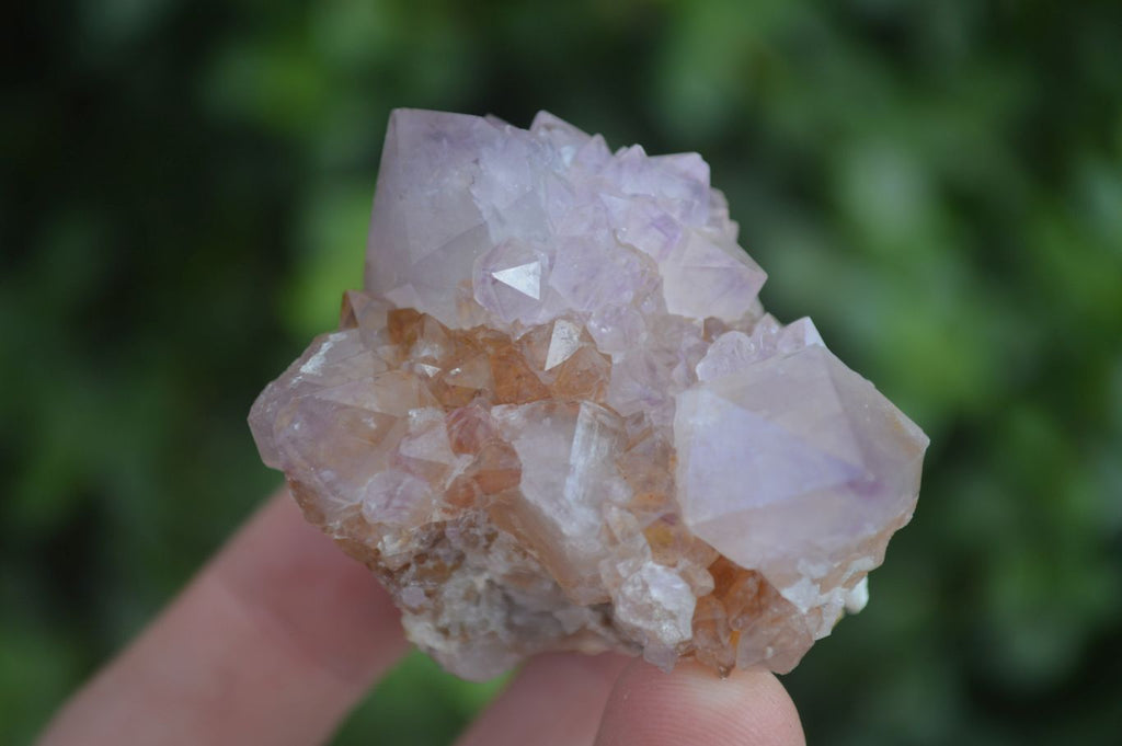 Natural Mixed Spirit Amethyst Quartz Clusters  x 12 From Boekenhouthoek, South Africa - Toprock Gemstones and Minerals 