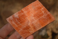 Natural New Sunset Orange Calcite Specimens  x 12 From Spitzkop, Namibia - Toprock Gemstones and Minerals 