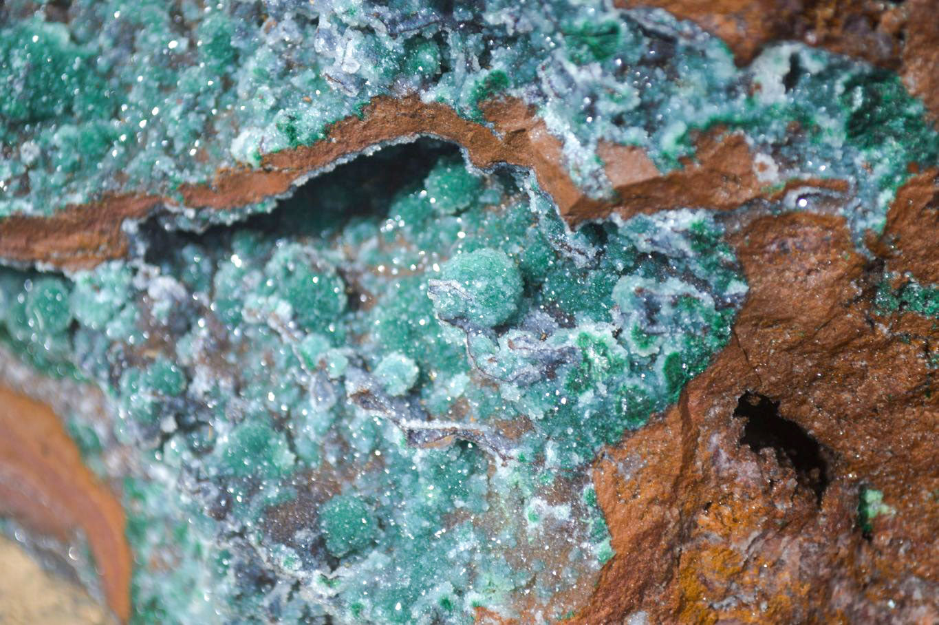 Natural Drusy Coated Ball Malachite On Dolomite Specimen x 1 From Likasi, Congo - Toprock Gemstones and Minerals 