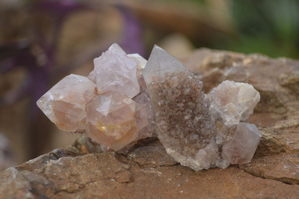 Natural Small Spirit Amethyst Quartz Crystals x 70 From Boekenhouthoek, South Africa - Toprock Gemstones and Minerals 