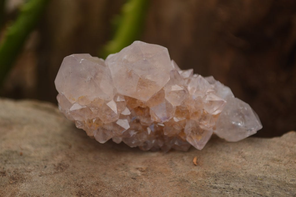 Natural Spirit Quartz Clusters  x 18 From Boekenhouthoek, South Africa - TopRock