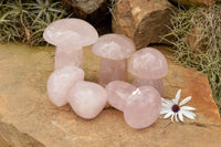 Polished Large Gemmy Pink Rose Quartz Mushrooms  x 5 From Madagascar - TopRock