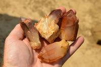 Natural Single Red Hematoid Phantom Quartz Crystals  x 24 From Karoi, Zimbabwe - TopRock
