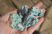 Natural Drusy Coated Chrysocolla & Malachite Dolomite Specimens x 9 From Likasi, Congo - Toprock Gemstones and Minerals 