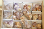Natural Mixed Selection Of Spirit Cactus Quartz Clusters  x 14 From Boekenhouthoek, South Africa - TopRock