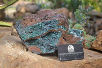 Natural Drusy Coated Ball Malachite On Dolomite Specimen x 1 From Likasi, Congo - Toprock Gemstones and Minerals 