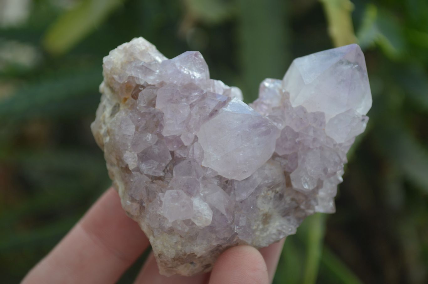Natural Mixed Spirit Amethyst Quartz Clusters  x 12 From Boekenhouthoek, South Africa - Toprock Gemstones and Minerals 