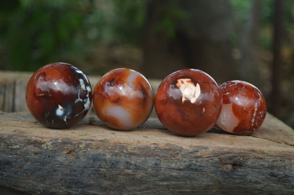 Polished Carnelian Agate Spheres  x 6 From Madagascar - Toprock Gemstones and Minerals 