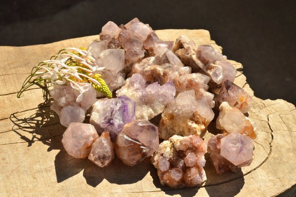 Natural Mixed Selection Of Spirit Cactus Quartz Clusters  x 14 From Boekenhouthoek, South Africa - TopRock