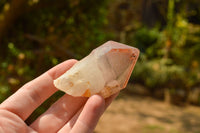 Natural Single Red Hematoid Phantom Quartz Crystals  x 24 From Karoi, Zimbabwe - TopRock