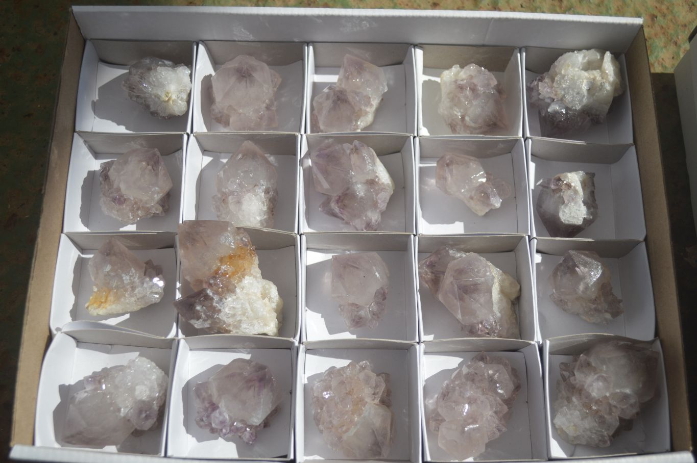 Natural Spirit Cactus Flower Quartz Crystals  x 20 From Boekenhouthoek, South Africa - Toprock Gemstones and Minerals 