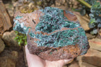 Natural Drusy Coated Ball Malachite On Dolomite Specimen x 1 From Likasi, Congo - Toprock Gemstones and Minerals 