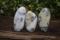 Polished Dendritic Opal Standing Free Forms  x 3 From Moralambo, Madagascar - Toprock Gemstones and Minerals 