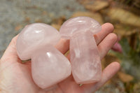 Polished Large Gemmy Pink Rose Quartz Mushrooms  x 5 From Madagascar - TopRock
