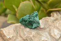 Natural Small Chatoyant Silky Malachite Specimens x 24 From Kasompe, Congo - TopRock