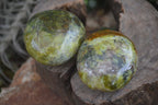 Polished Green Opal Free Forms  x 6 From Antsirabe, Madagascar - Toprock Gemstones and Minerals 